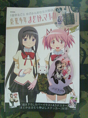 madokamagica-love-madoka-homura-ver.jpg