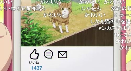 パリピ孔明第4話猫で1400いいね