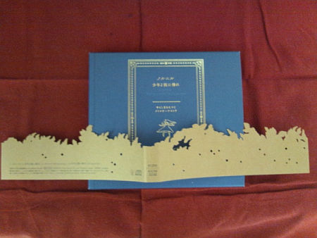 ノルニル 三方背ケース