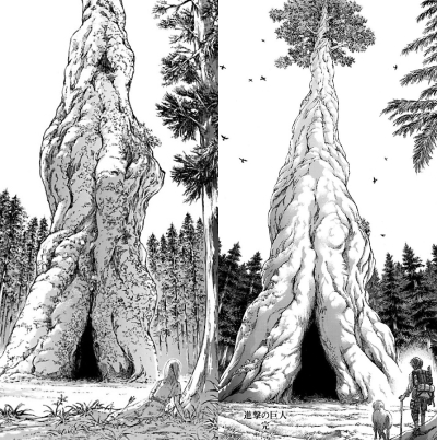 進撃の巨人第34巻と第30巻の巨木